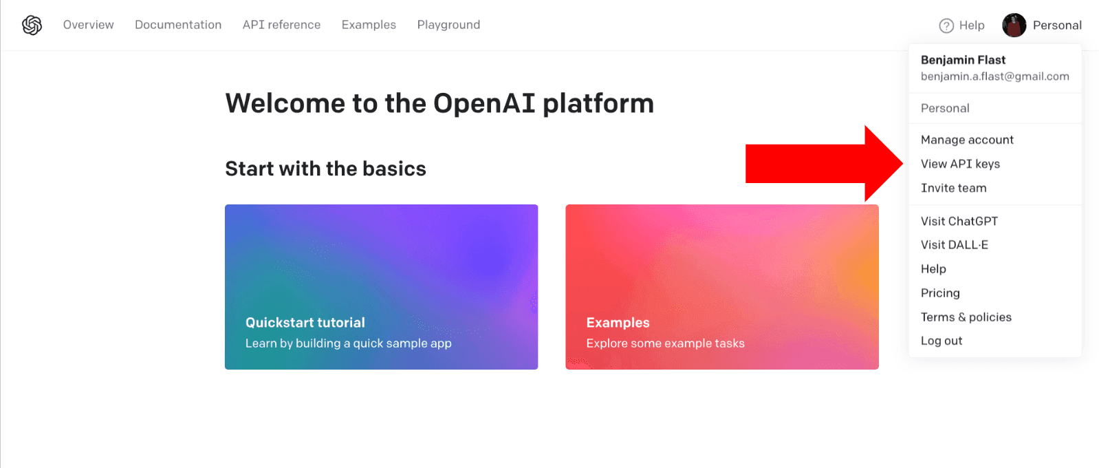 Open AI Key