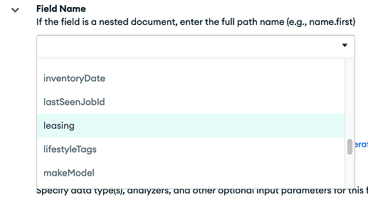 Dropdown for field name, only showing the "leasing" option