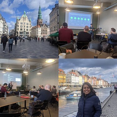 Copenhagen Highlights