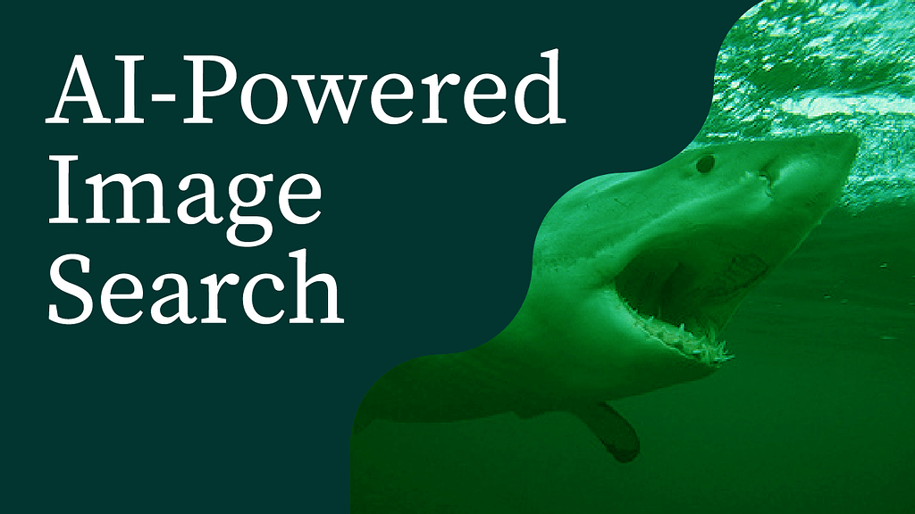 Build an Image Search Engine With Python & MongoDB - MongoDB Content ...
