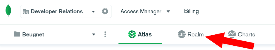 Access Realm in the MongoDB Atlas UI
