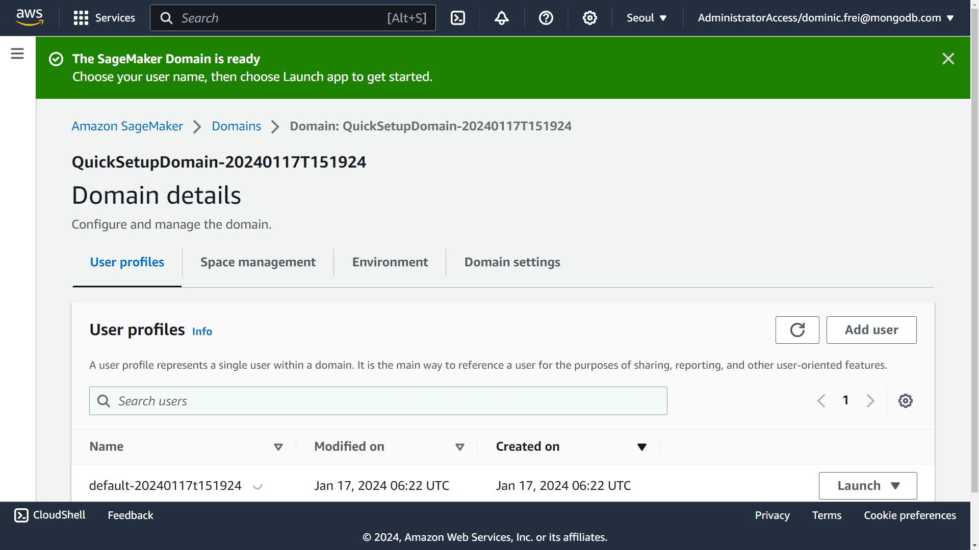 Domain details in SageMaker after being created