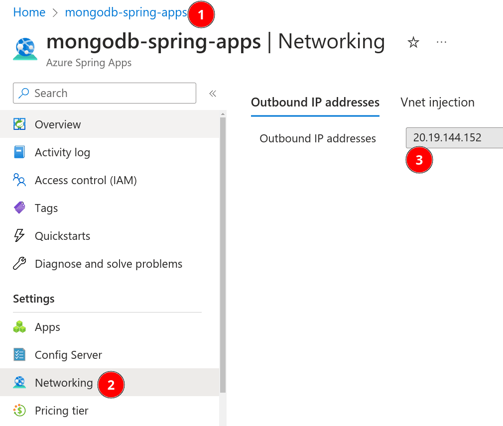 Retrieve the outbound IP address