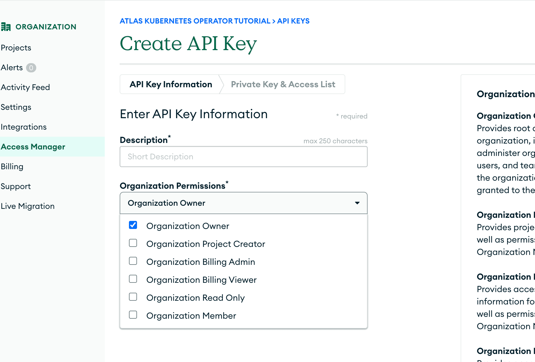Página da UI do Atlas “Create API Keys”