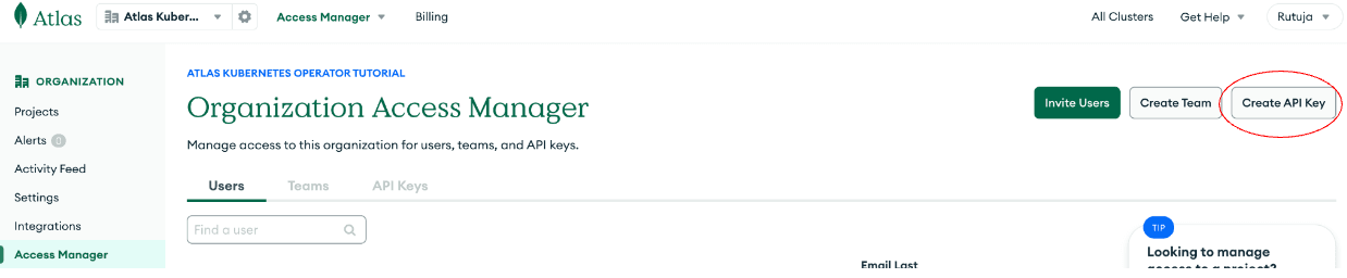 Página do Atlas Organization Access Manager