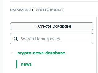 Newly created database and collection.