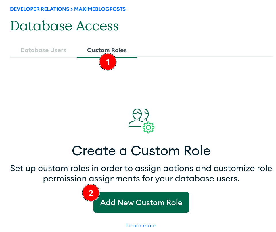 Custom Roles tab in Atlas