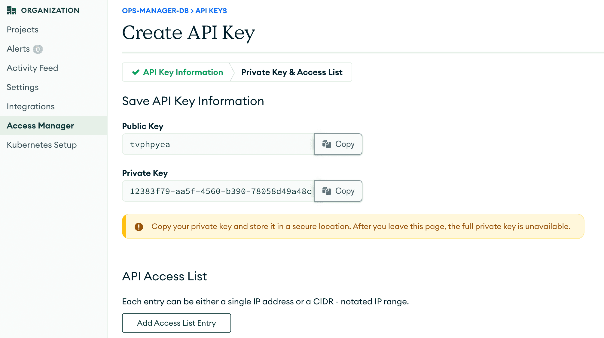 To grant programmatic access to an organization or project using only the API, you can create an API keys pair