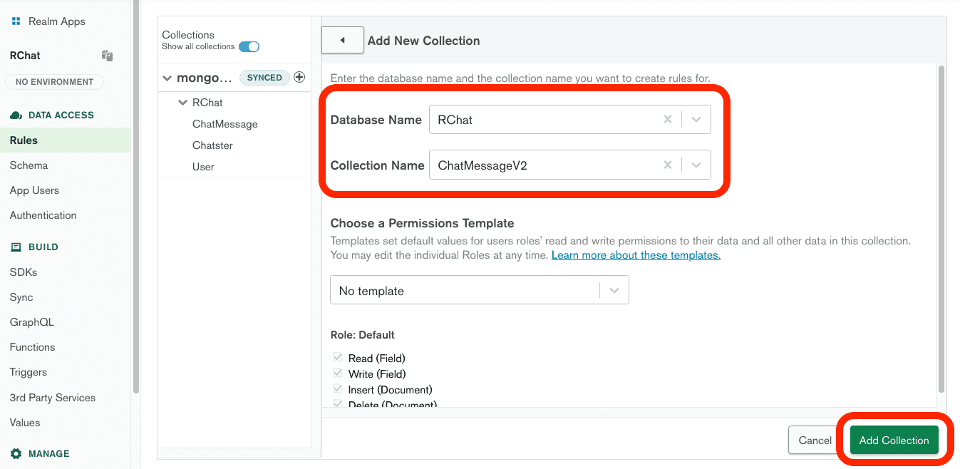 Setting the database and collection names in the Realm UI