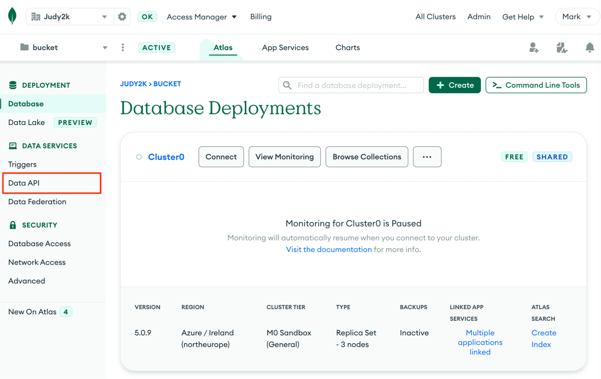 A screenshot, showing the Data API navigation item on the left of the screen