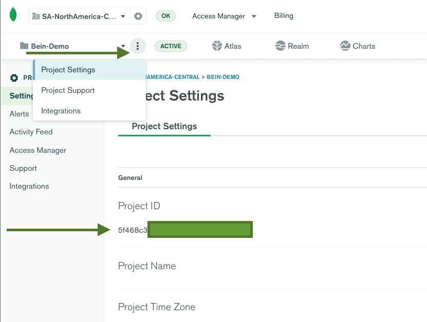 Finding your Project ID on MongoDB Atlas