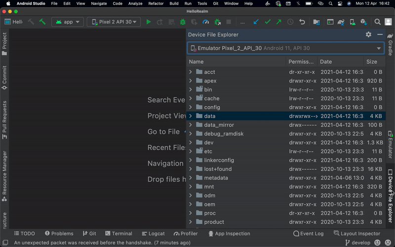 Animation showing how to get the database file from emulator or real device. The process is explained in the following paragraphs.