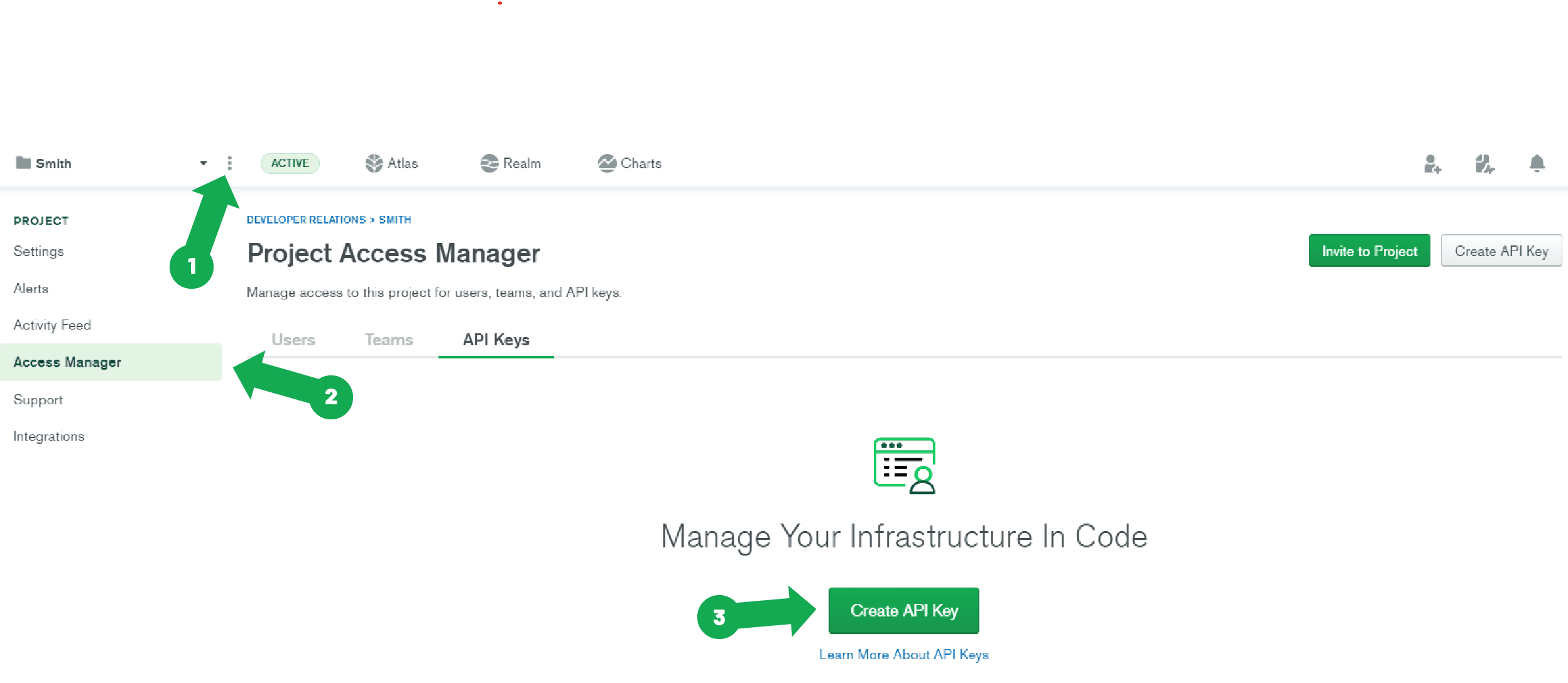 Uma captura de tela da página Access Manager do projeto.