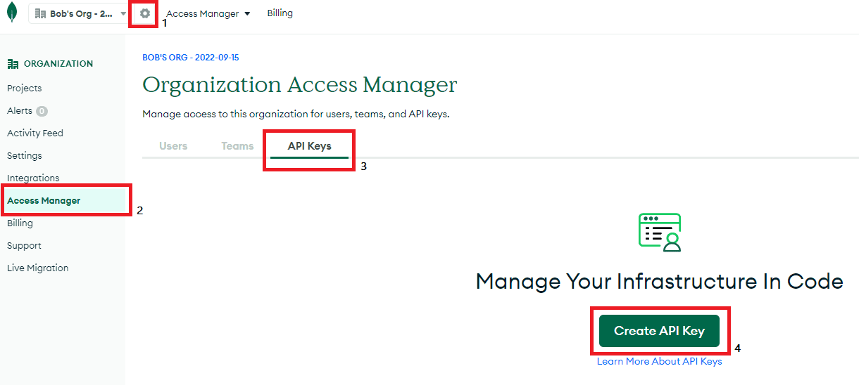 Organization Access Manager, Create API Keys Page