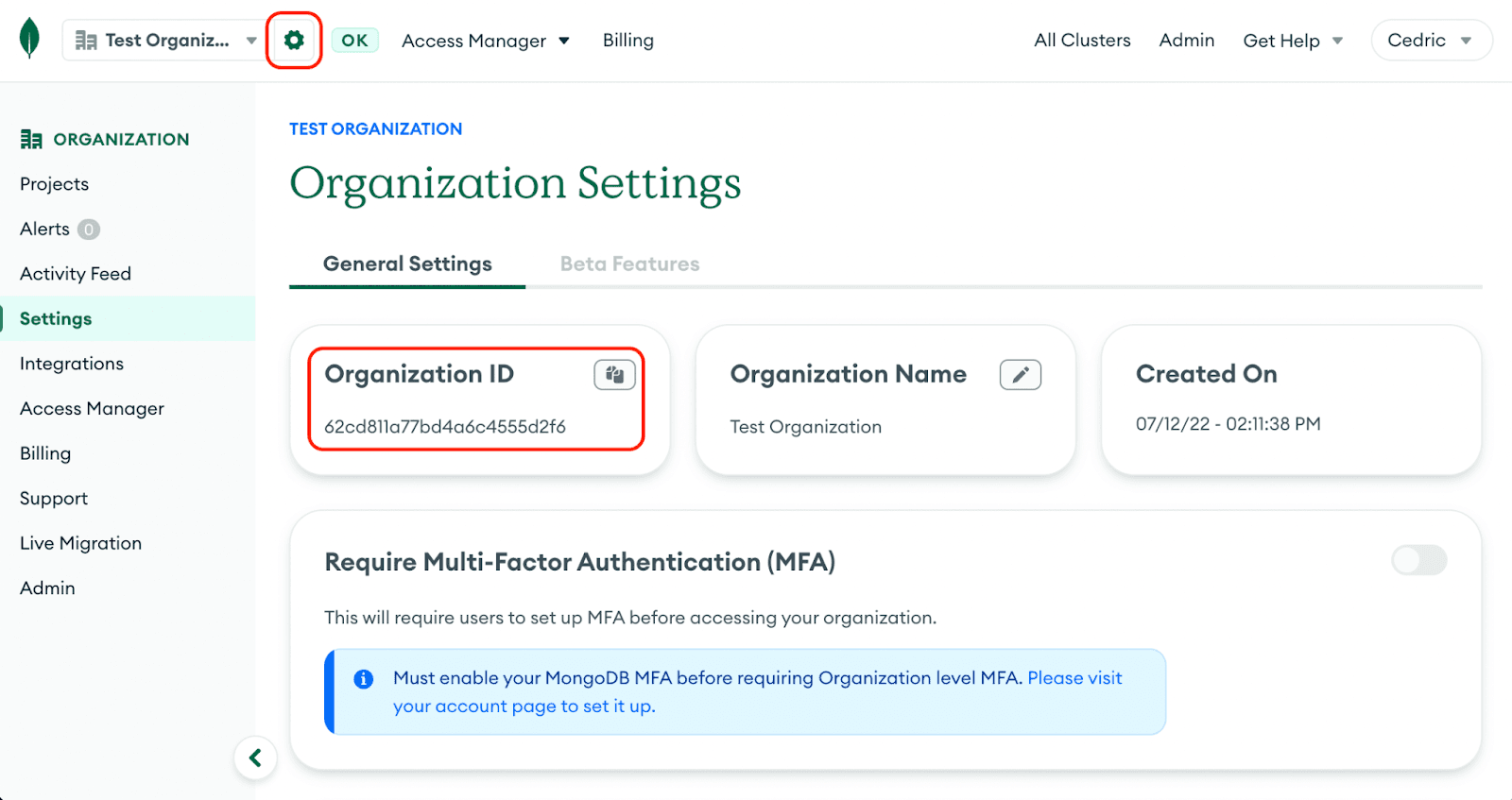Navigating to the organization settings page