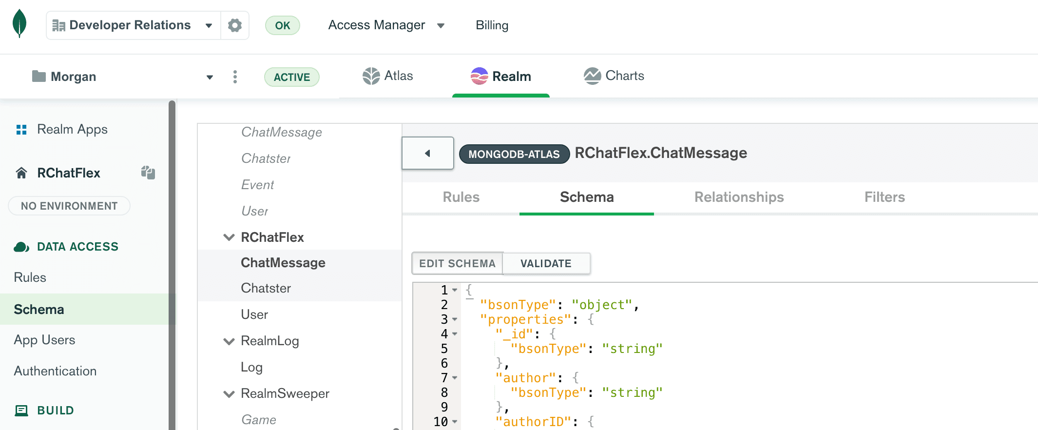 Screen capture of schema section of the Atlas UI