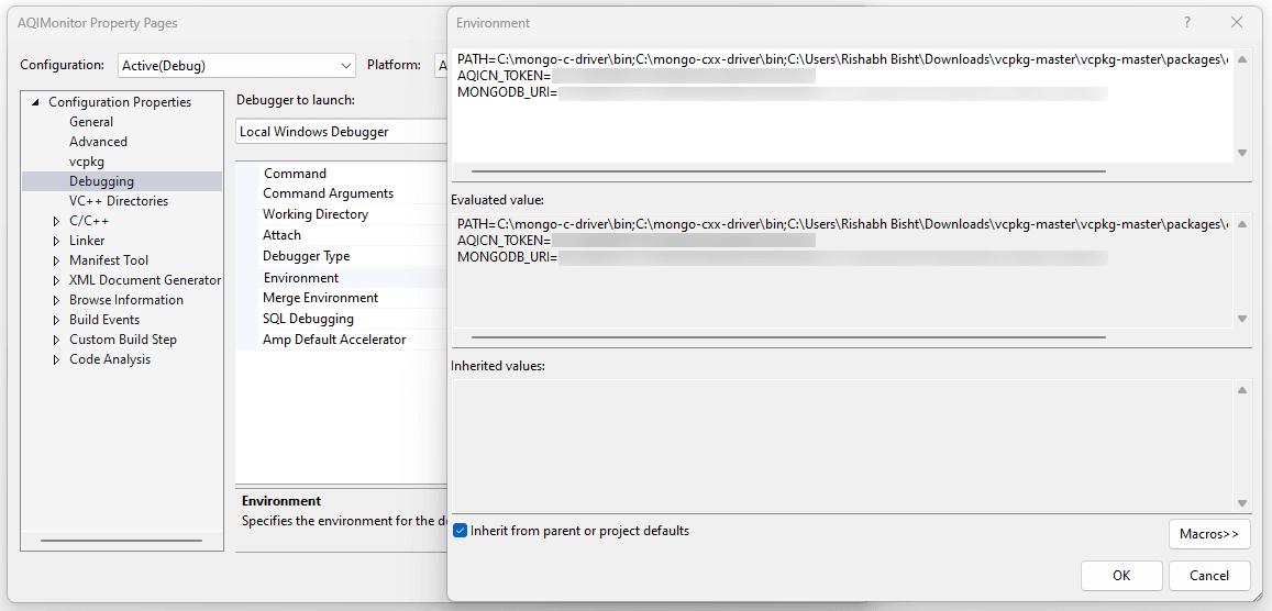 Setting environment variables in Microsoft Visual Studio