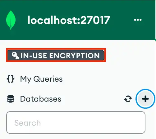 In-Use Encryption Connection button