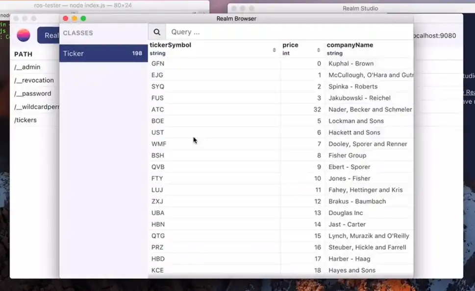 Una captura de pantalla de Realm Studio