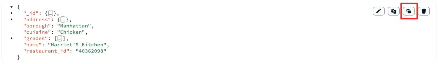 Copiar documento desde la vista JSON